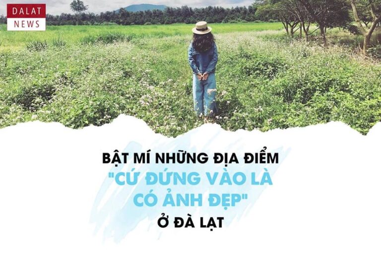 Tổng hợp tất cả các điểm du lịch cùng cung đường Đà Lạt