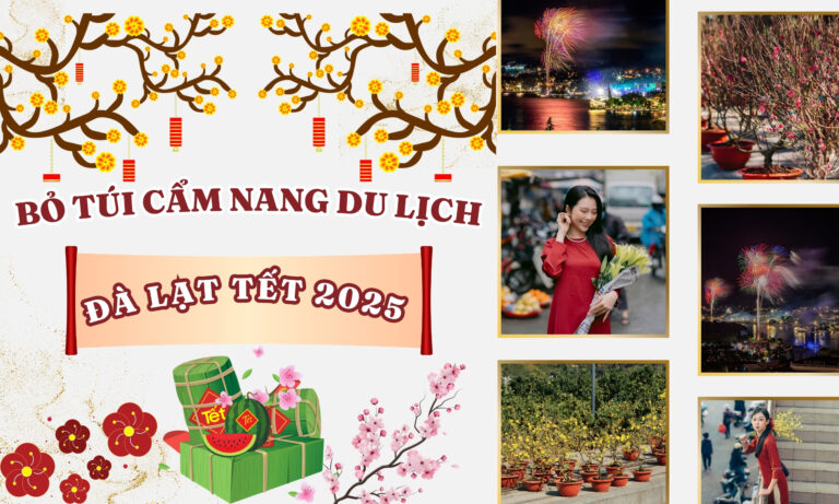 Bỏ túi cẩm nang du lịch Đà Lạt Tết 2025