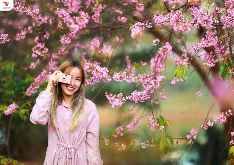Review Du lịch Đà Lạt Tháng 1 Có Gì Đẹp
