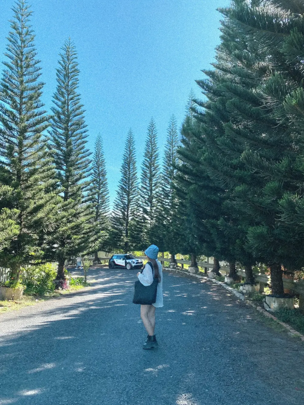 goi y 4 diem check in gan trung tam da lat khong the bo lo 4