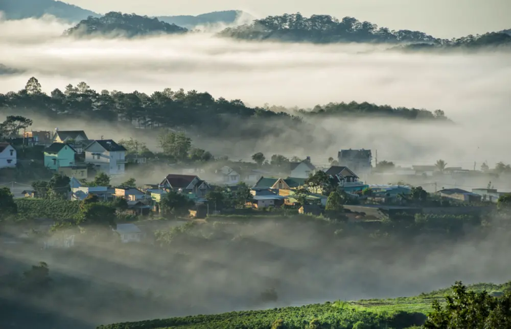 nen di da lat vao thang may chi tiet thoi tiet trai nghiem tung mua 1