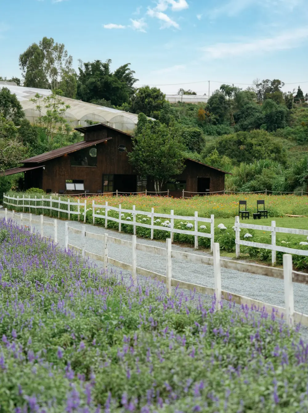 Thung Mơ Garden – Một chốn mộng mơ mới toanh giữa Đà Lạt 7 thung mo garden mot chon mong mo moi toanh giua da lat 11