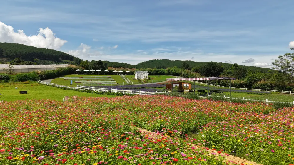 Thung Mơ Garden – Một chốn mộng mơ mới toanh giữa Đà Lạt 3 thung mo garden mot chon mong mo moi toanh giua da lat 2