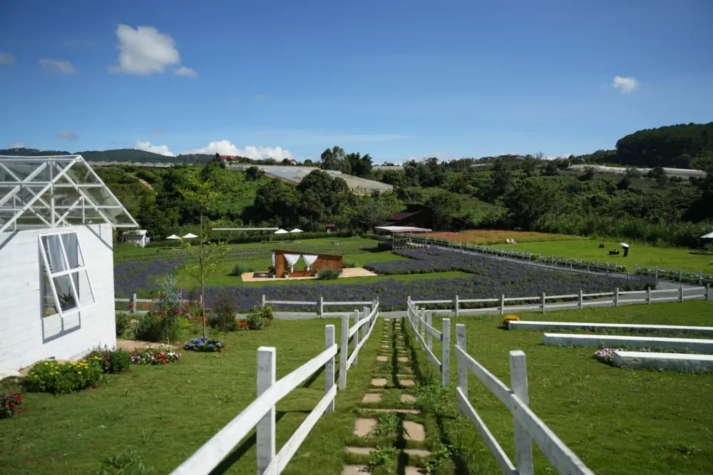 Thung Mơ Garden – Một chốn mộng mơ mới toanh giữa Đà Lạt 2 thung mo garden mot chon mong mo moi toanh giua da lat 3