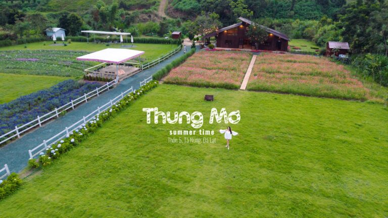 Thung Mơ Garden – Một chốn mộng mơ mới toanh giữa Đà Lạt