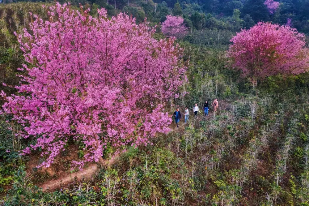 kham pha da lat nhung thang cuoi nam mua hong mua hoa va san may 4