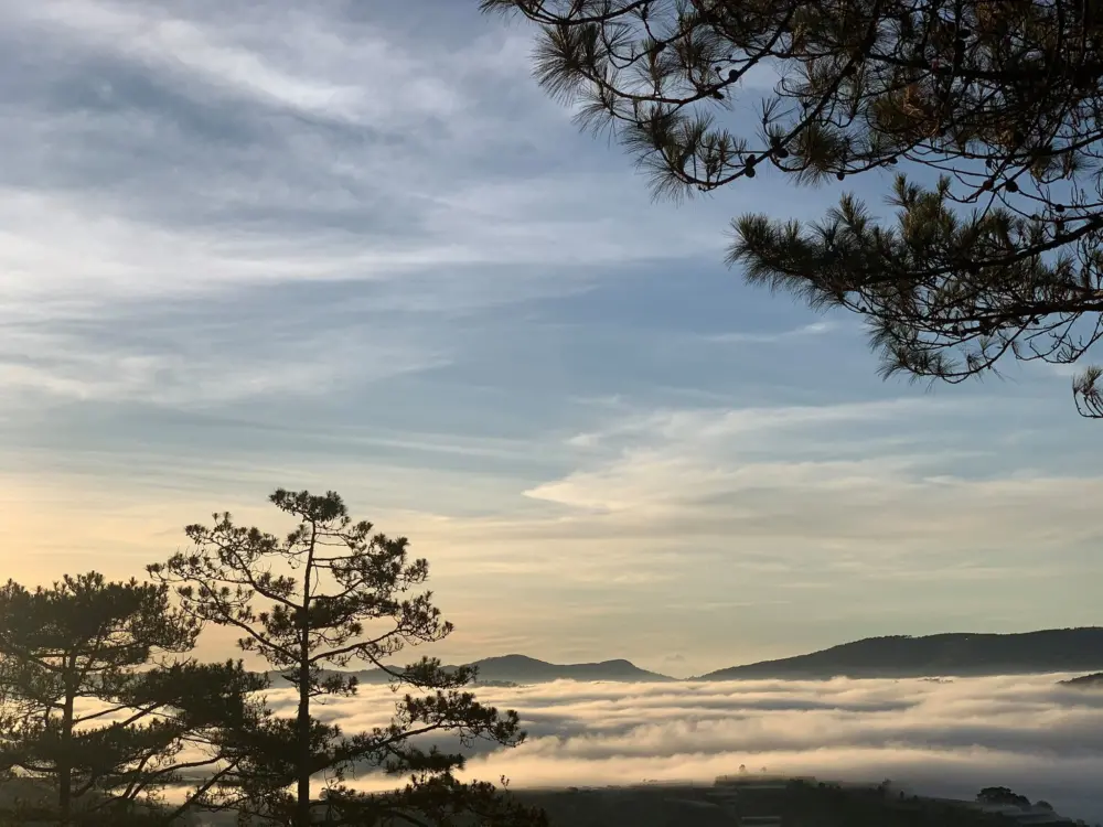 kham pha da lat nhung thang cuoi nam mua hong mua hoa va san may 8