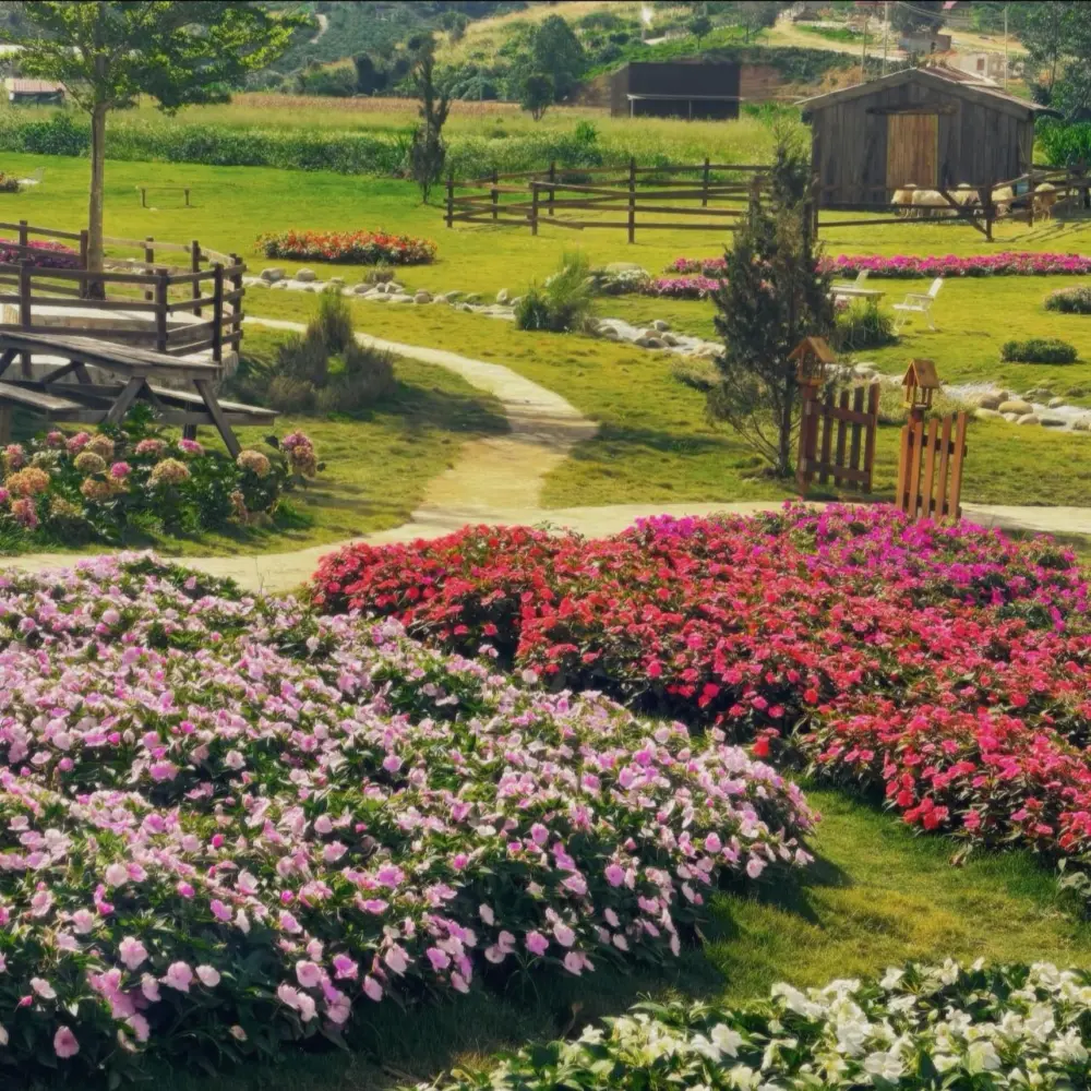 thon 13 da lat diem hen binh yen giua nui rung ta nung 7
