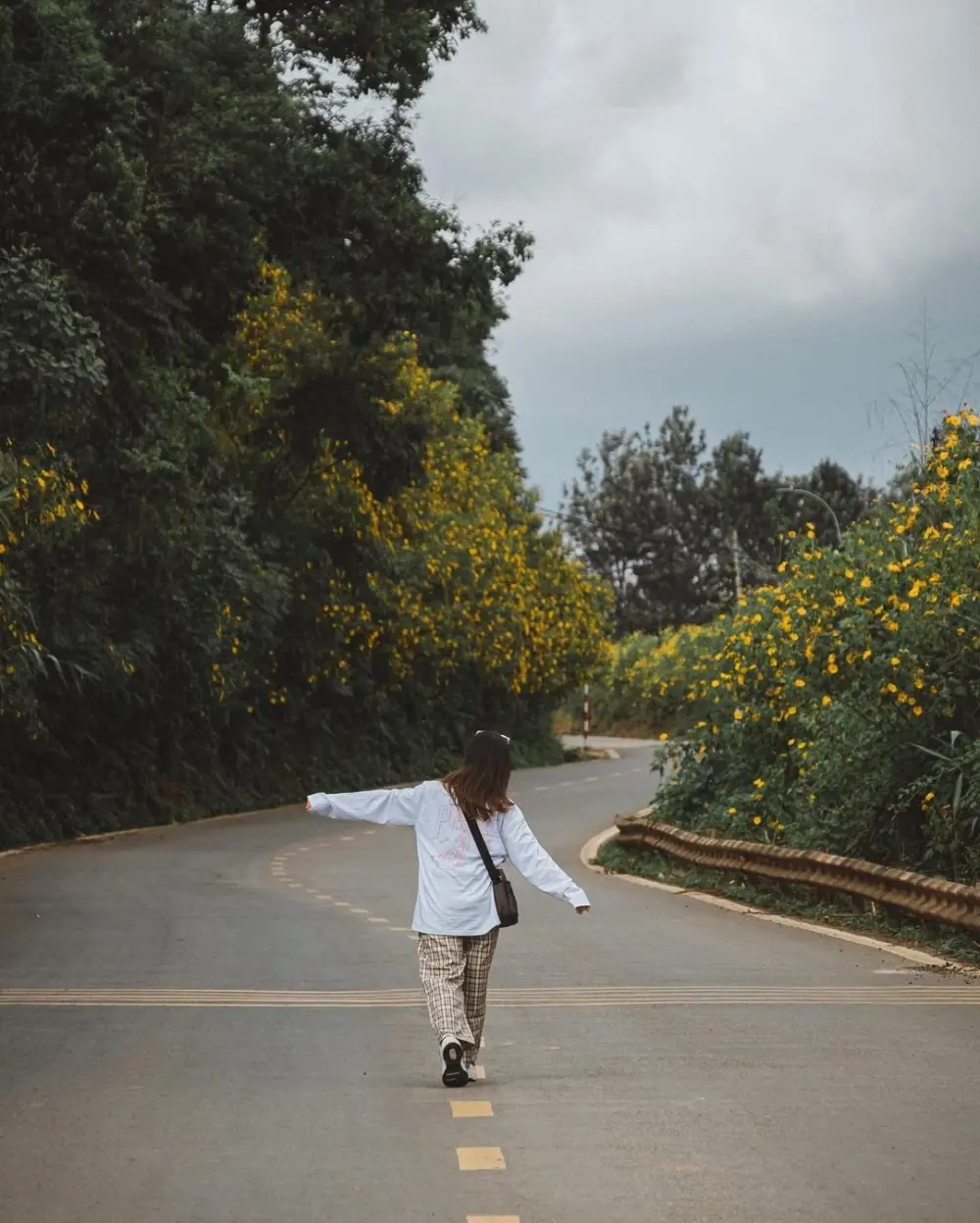 da lat thang 10 co gi mua chom dong lang man va binh yen 2