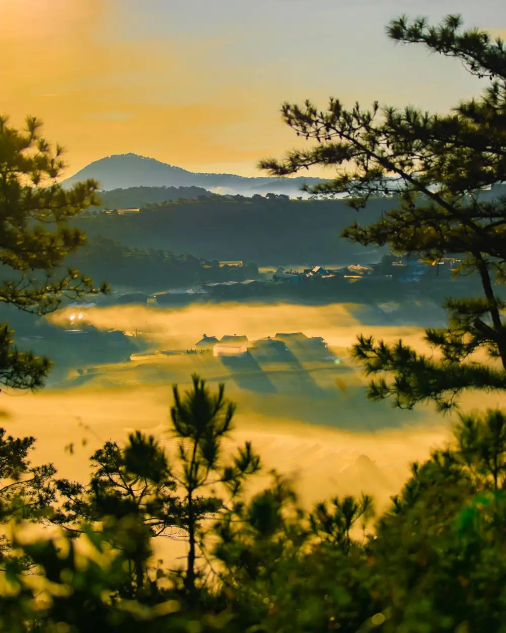 da lat thang 10 co gi mua chom dong lang man va binh yen 3
