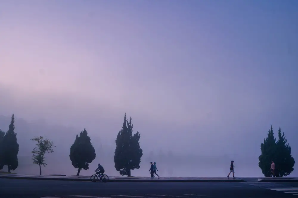 da lat thang 10 co gi mua chom dong lang man va binh yen 4