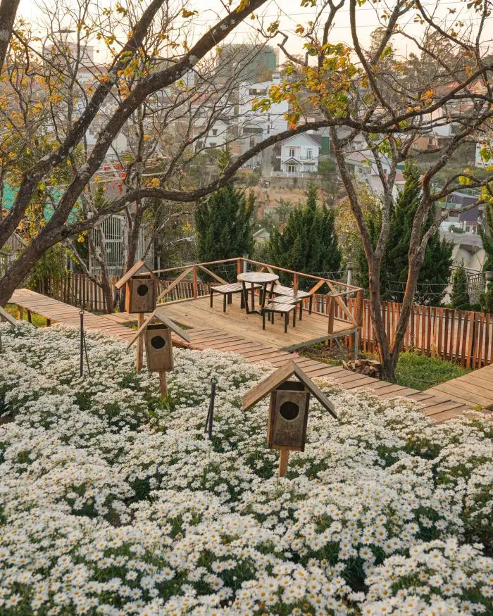 da lat va 15 mua hoa dep ngay ngat niu chan du khach 11