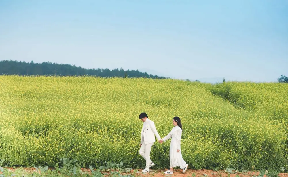 da lat va 15 mua hoa dep ngay ngat niu chan du khach 12
