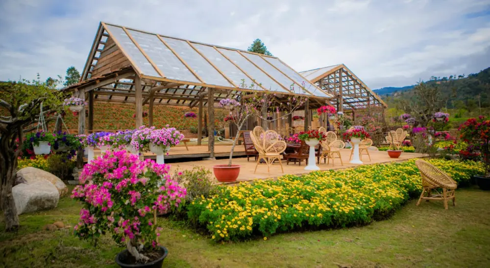 the florest hoa trong rung thien duong hoa giua dai ngan da lat 3