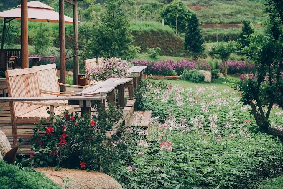 the florest hoa trong rung thien duong hoa giua dai ngan da lat 6