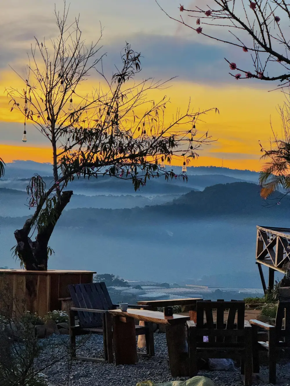 Tiệm cà phê Trên Đồi Có Mây – Chill giữa biển mây và rừng thông Đà Lạt 10 tiem ca phe tren doi co may chill giua bien may va rung thong da lat 13