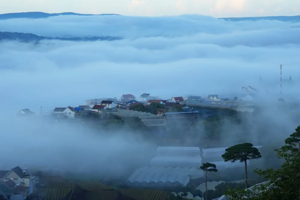 Tiệm cà phê Trên Đồi Có Mây – Chill giữa biển mây và rừng thông Đà Lạt 9 tiem ca phe tren doi co may chill giua bien may va rung thong da lat 2