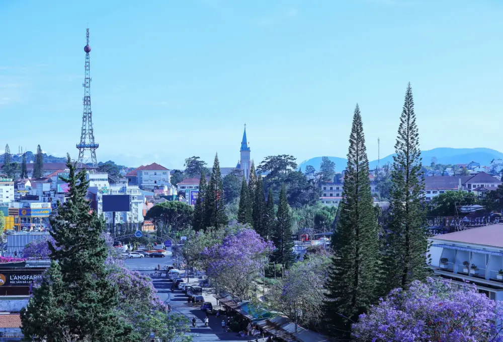 top 7 con duong hoa dep nhat da lat khien ban say me 3