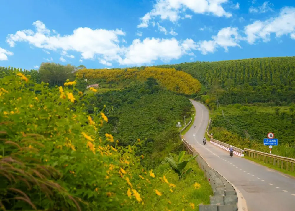 top 7 con duong hoa dep nhat da lat khien ban say me 5
