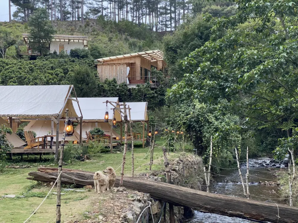 glamping o da lat trai nghiem nghi duong giua thien nhien mong mo 10