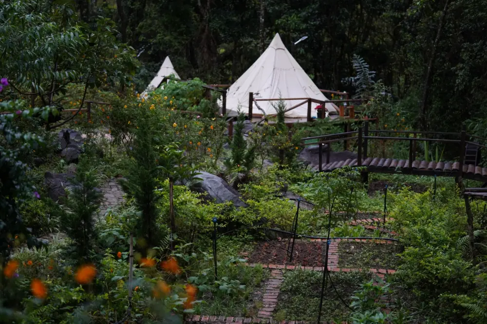 glamping o da lat trai nghiem nghi duong giua thien nhien mong mo 2