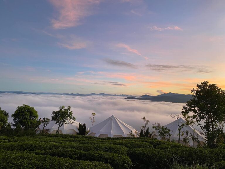 Glamping ở Đà Lạt – Trải nghiệm nghỉ dưỡng giữa thiên nhiên mộng mơ