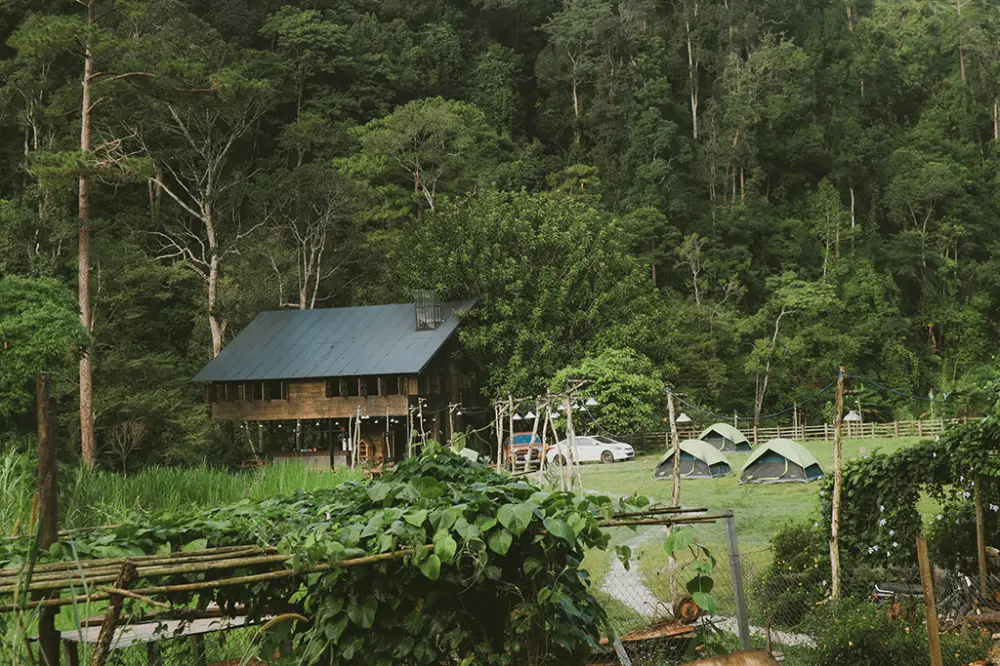 glamping o da lat trai nghiem nghi duong giua thien nhien mong mo 9