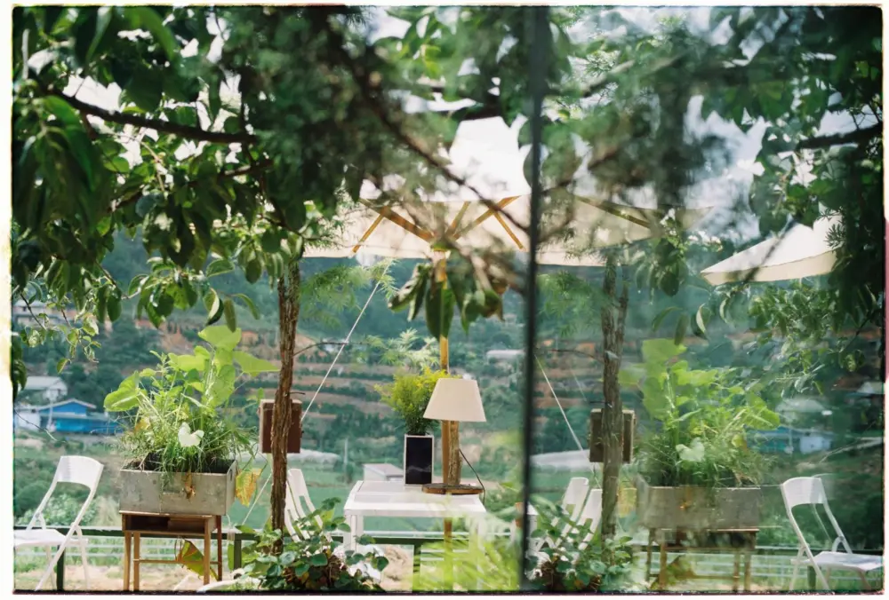 homestay view rung thong dep nhat cho mua se lanh o da lat 3