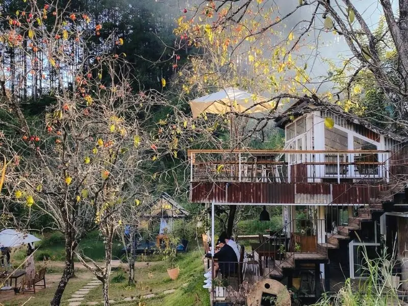 homestay view rung thong dep nhat cho mua se lanh o da lat 4