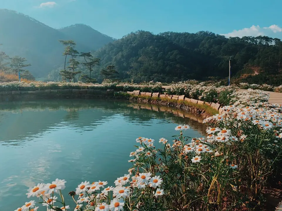 top 5 quan ca phe view vuon hoa dep nhat da lat check in la me 6