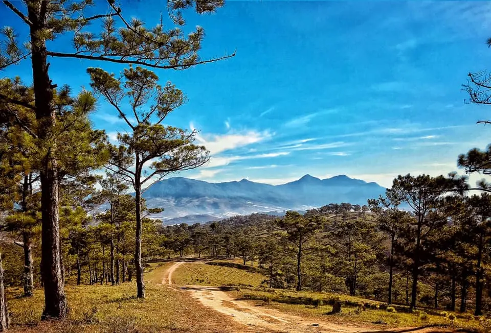 12 dia diem check in dep chill va mien phi o da lat 8