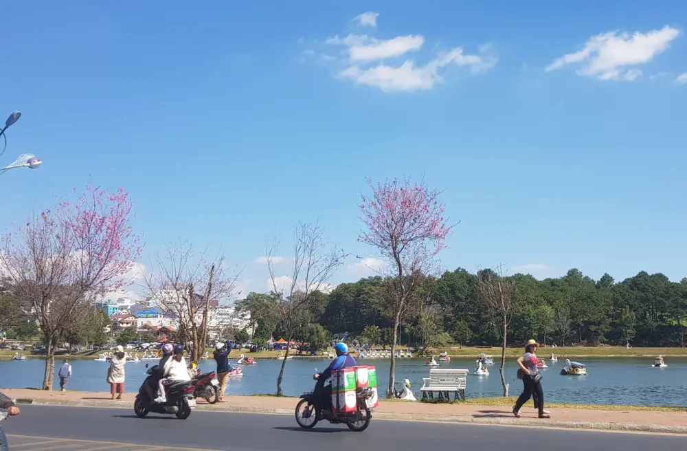 cac dia diem du kien co hoa mai anh dao no vao thang 2 tai da lat 2
