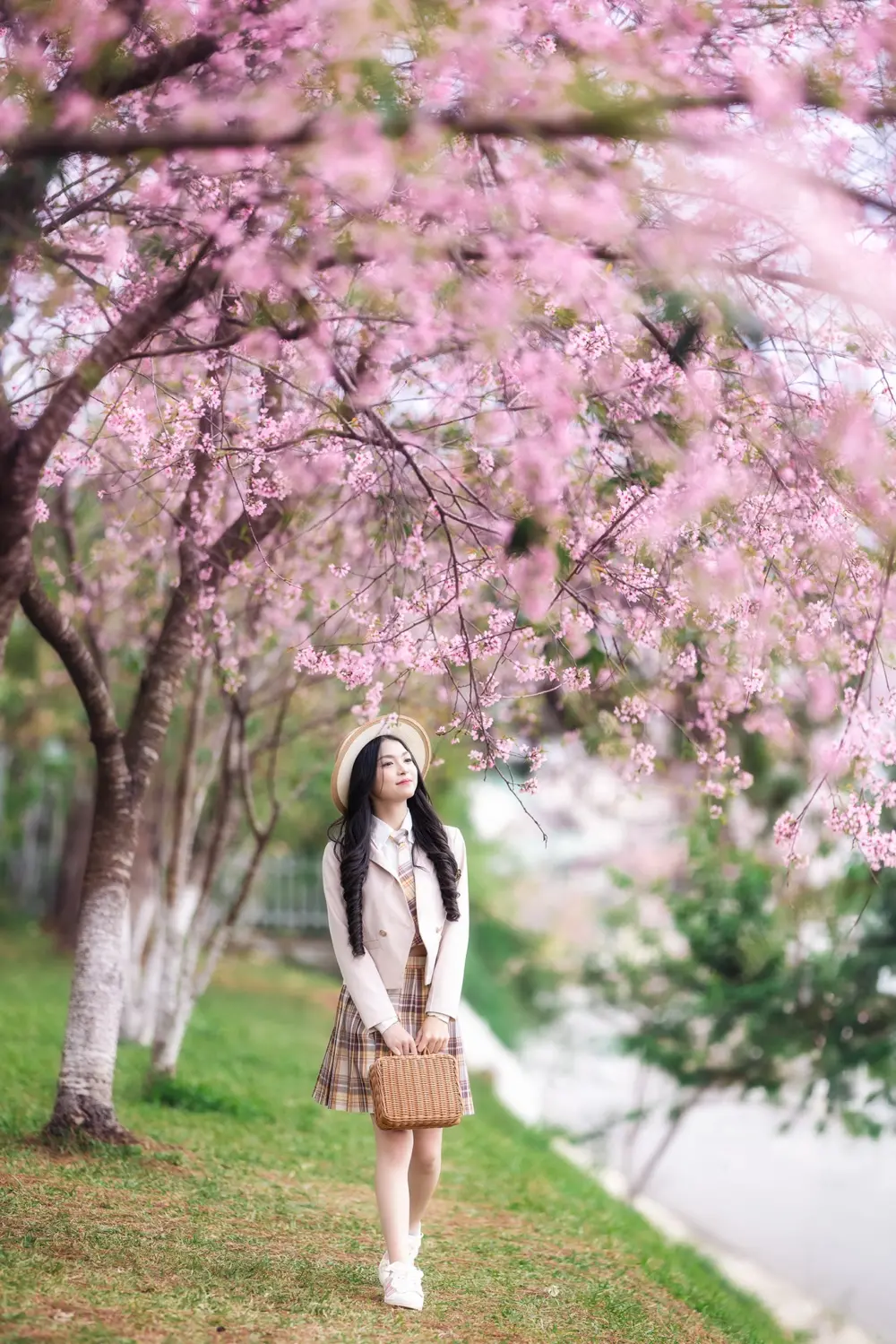 cac dia diem du kien co hoa mai anh dao no vao thang 2 tai da lat 5
