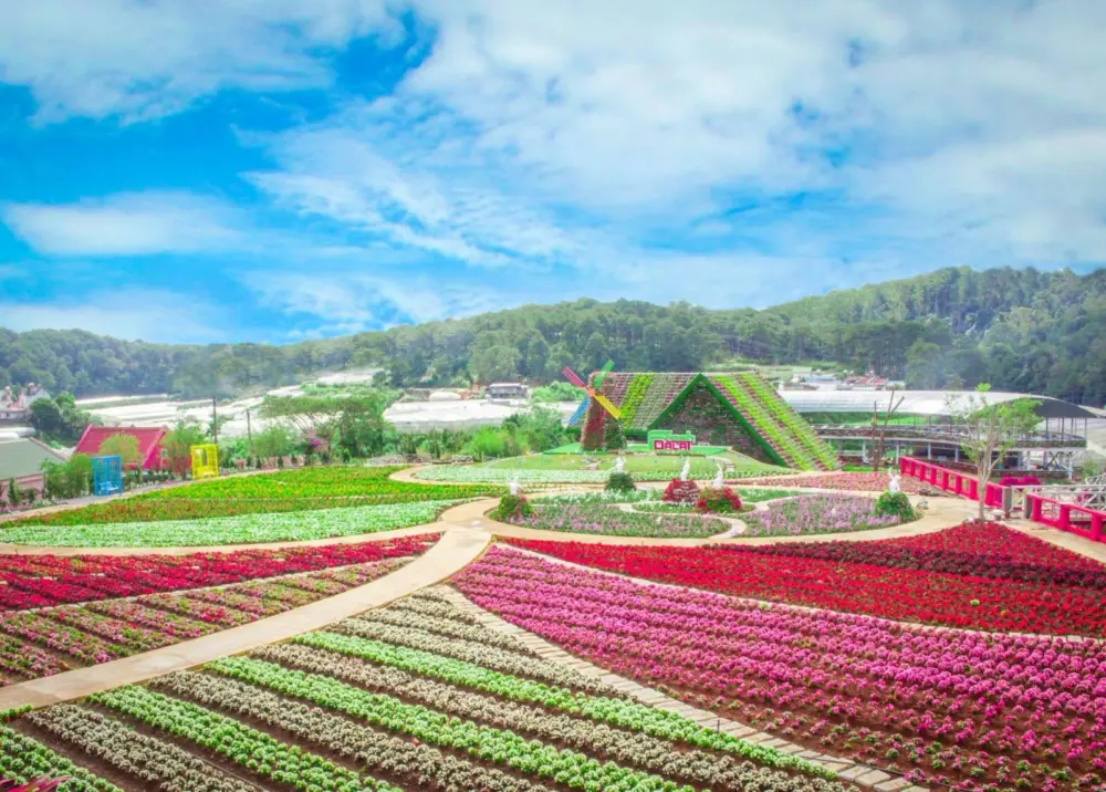 cac lang hoa da lat ruc ro nhat dip tet duong di bang xe may 2