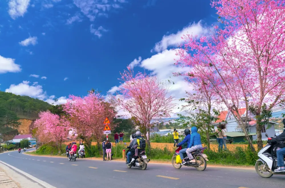 Kinh nghiệm đi xe máy Đà Lạt dịp Tết an toàn – tránh kẹt xe