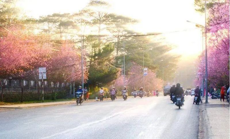 kinh nghiem di xe may da lat dip tet an toan tranh ket xe 2