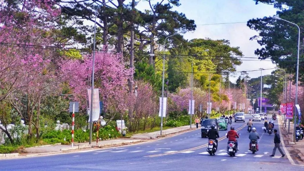 kinh nghiem di xe may da lat dip tet an toan tranh ket xe 3