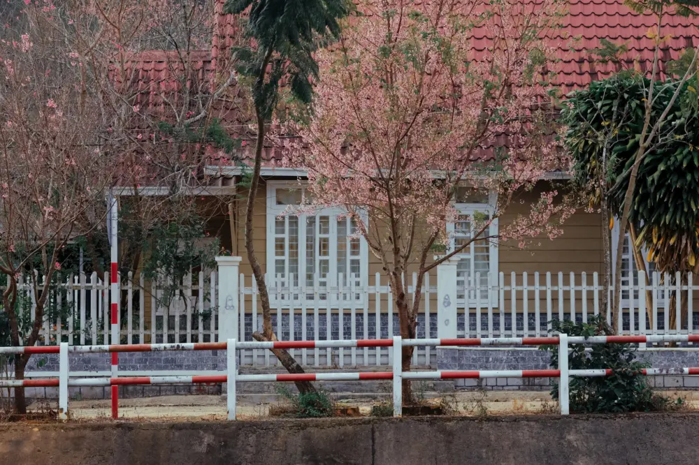 mai anh dao o klong klanh va dung ksi da lat 11
