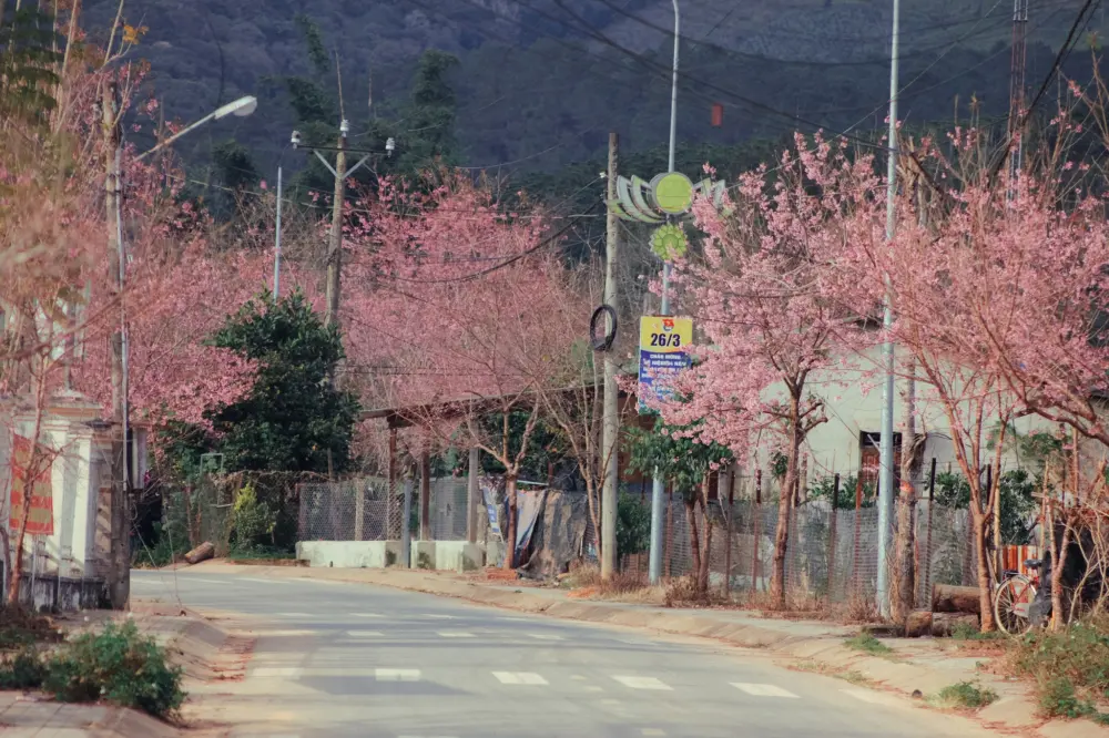 mai anh dao o klong klanh va dung ksi da lat 2
