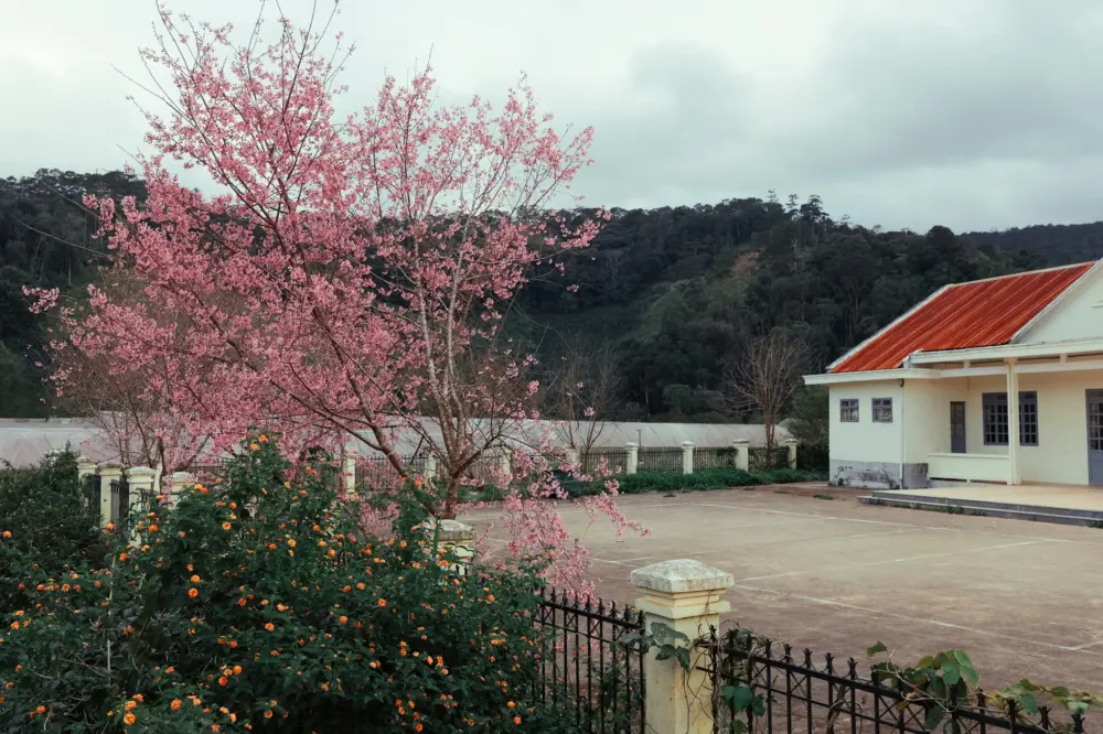 mai anh dao o klong klanh va dung ksi da lat 4