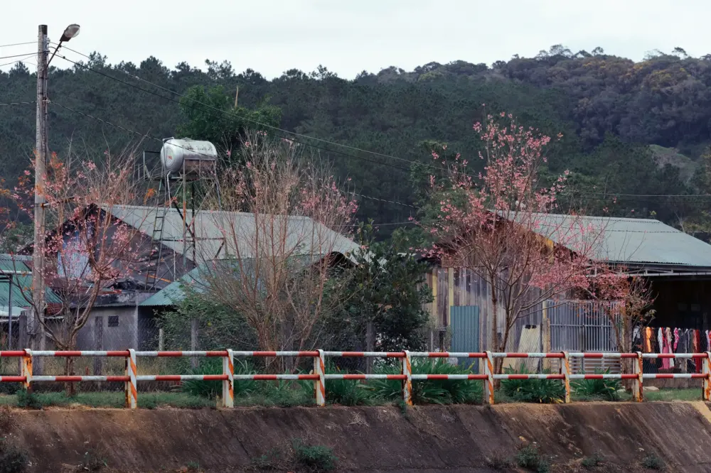 mai anh dao o klong klanh va dung ksi da lat 7