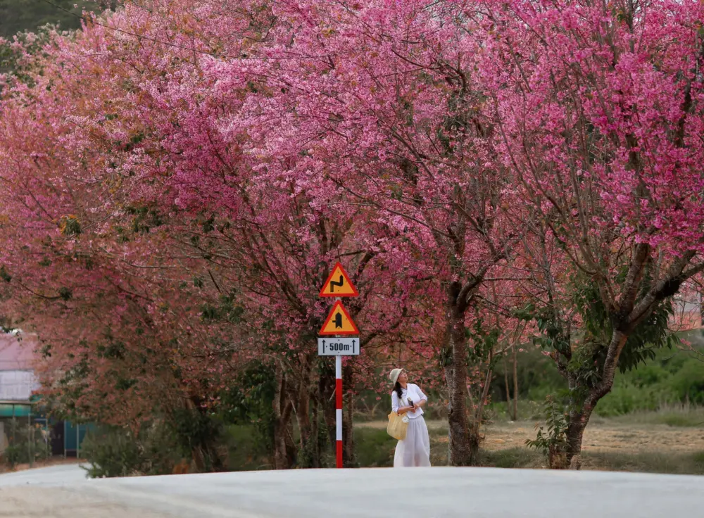 da lat sau tet co con lanh khong 3