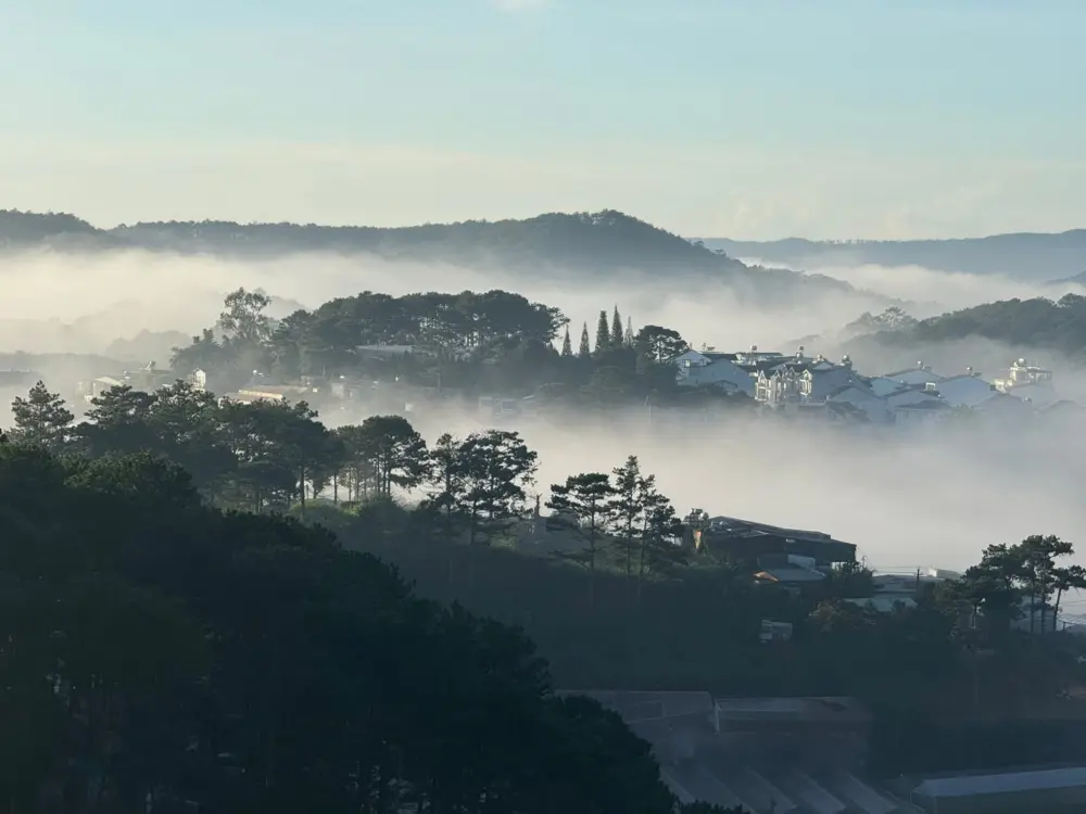 da lat sau tet co con lanh khong 4
