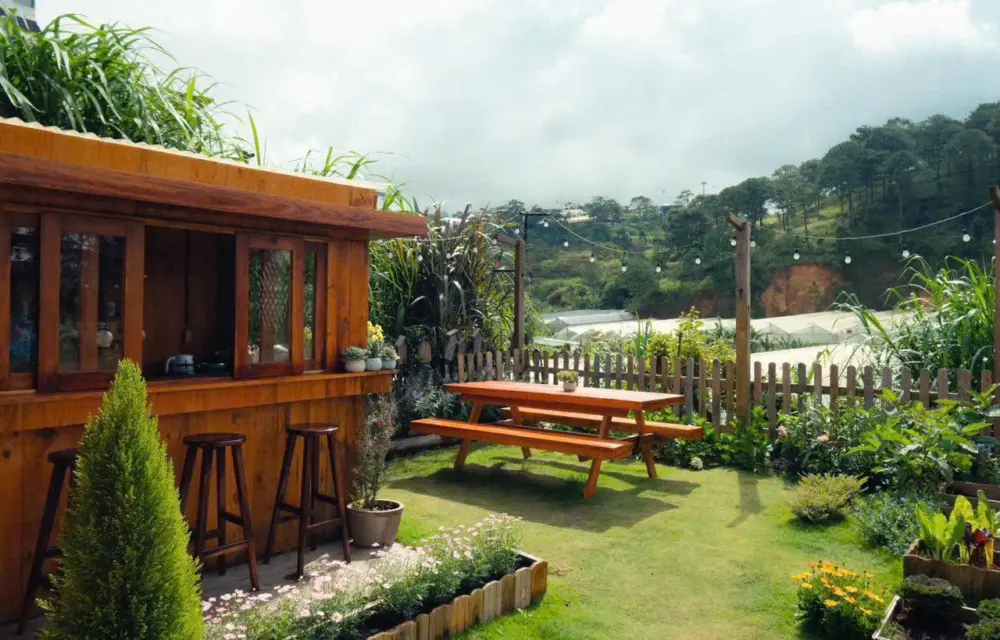 da lat sau tet co dang de di 3