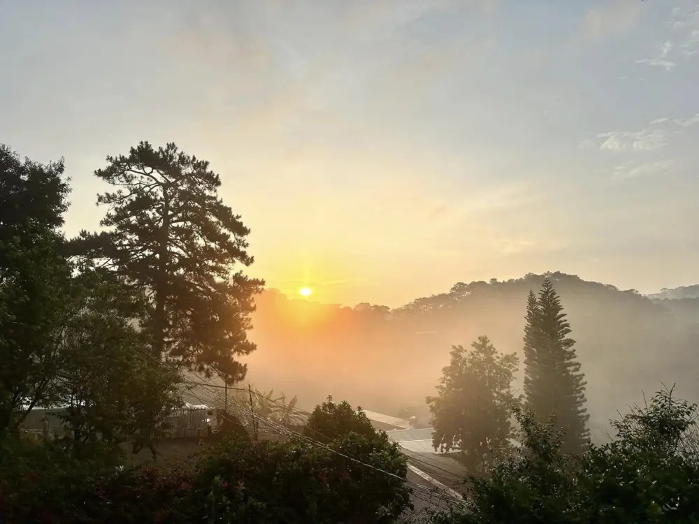 da lat sau tet co dang de di 4