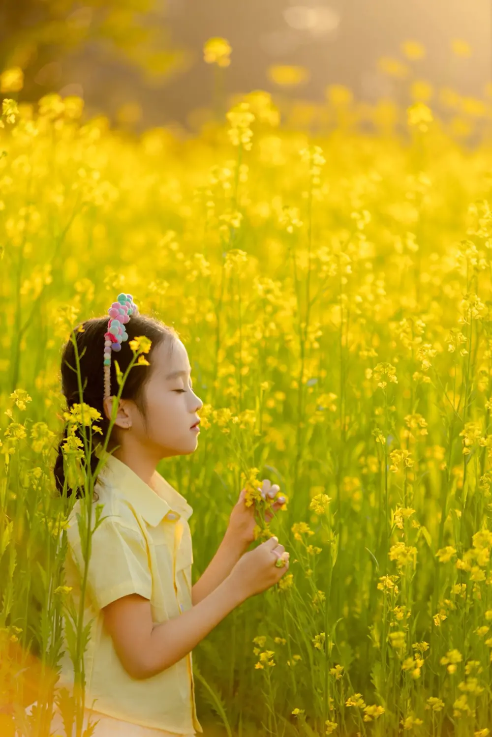 Hoa cải vàng đang nhuộm kín Đà Lạt, đi ngay kẻo lỡ mùa đẹp nhất 8 hoa cai vang dang nhuom kin da lat 5