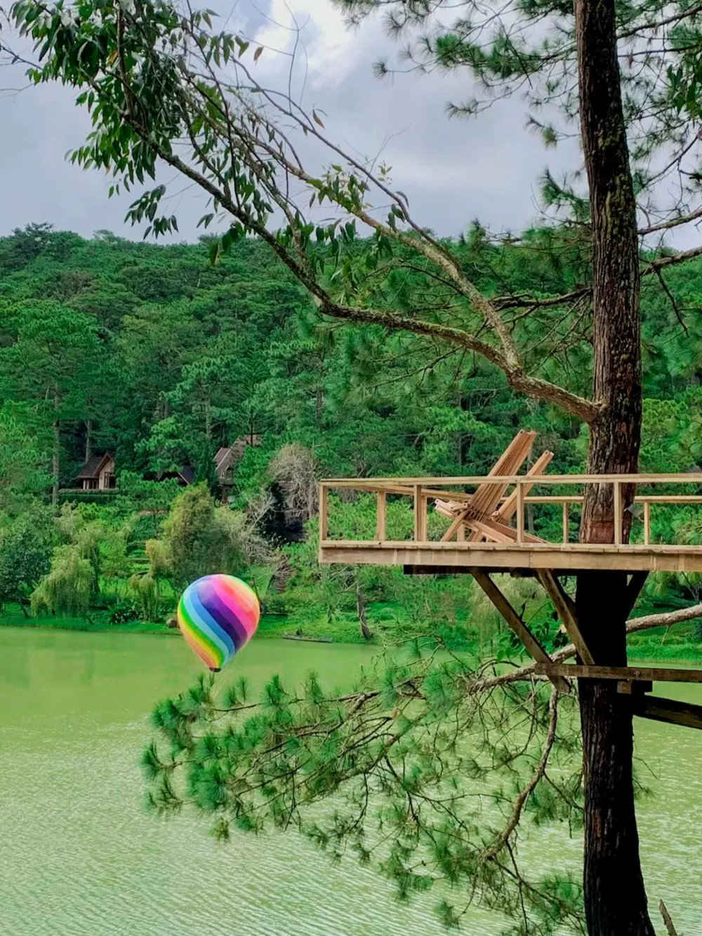 rung giao huong da lat ban nhac khong loi giua rung thong 11