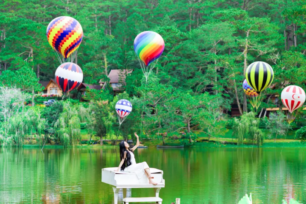 rung giao huong da lat ban nhac khong loi giua rung thong 2