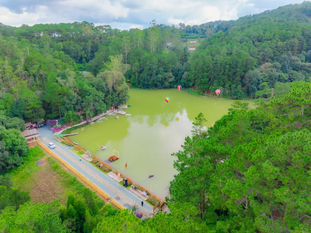 rung giao huong da lat ban nhac khong loi giua rung thong 3