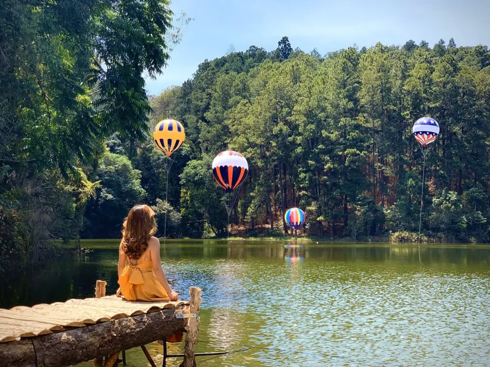 rung giao huong da lat ban nhac khong loi giua rung thong 4